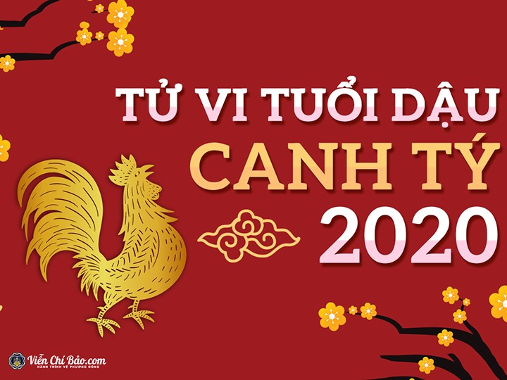 tu vi tuoi dau