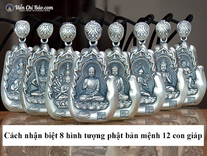 8 vi phat