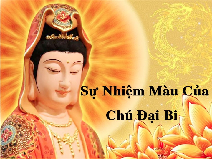 chu dai bi avata