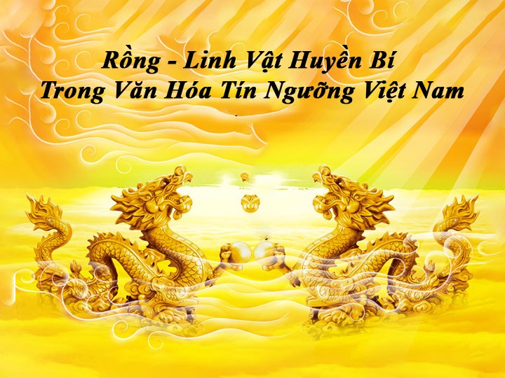 rong avata