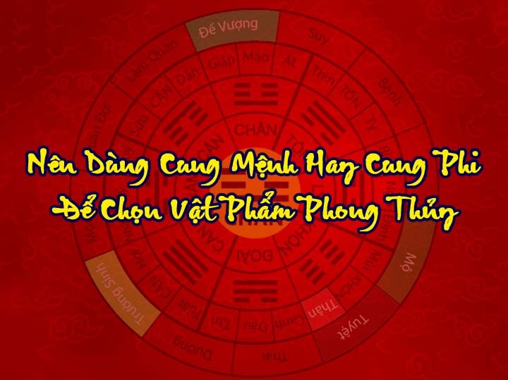 cung menh va cung phi