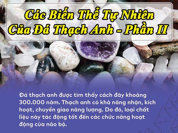 avata da thach anh copy 1