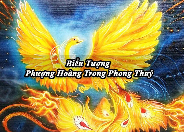 phuong hoang