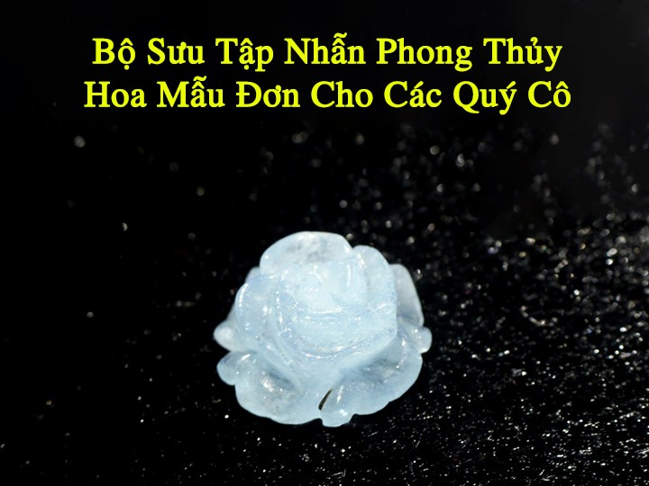 avata hoa mau don