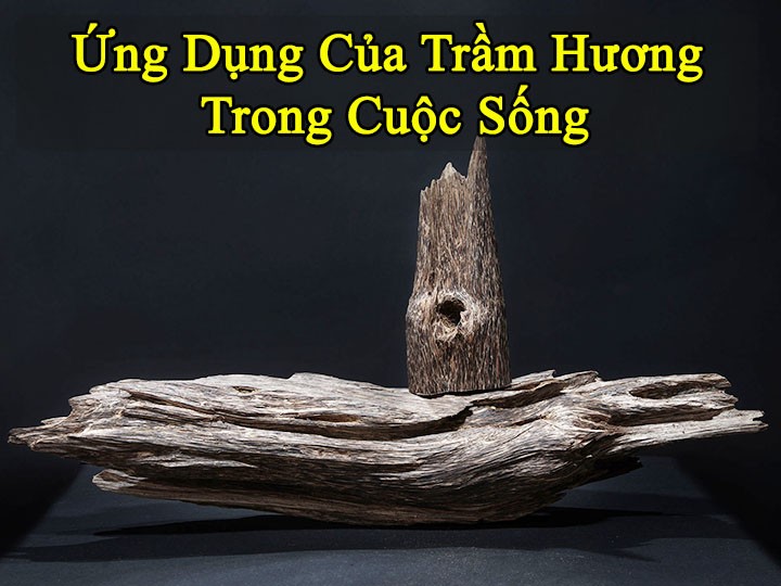 tram huong 6