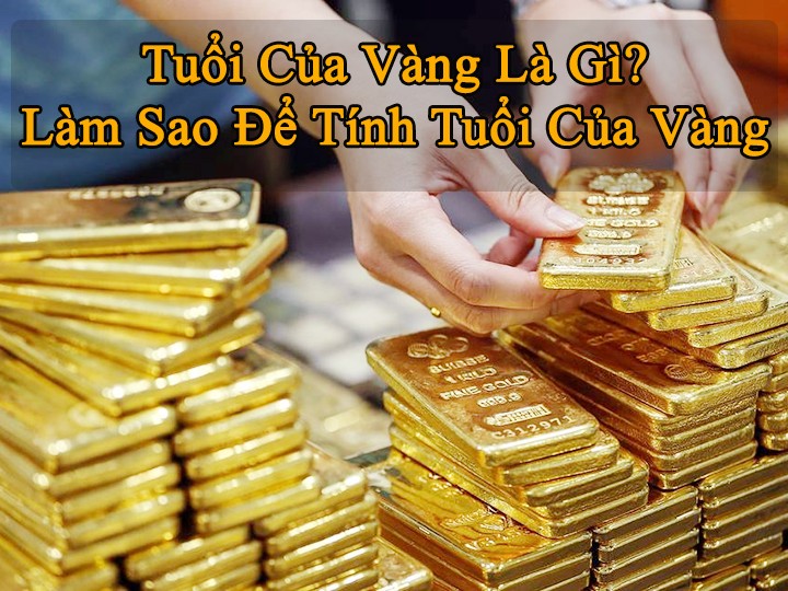 vang 1