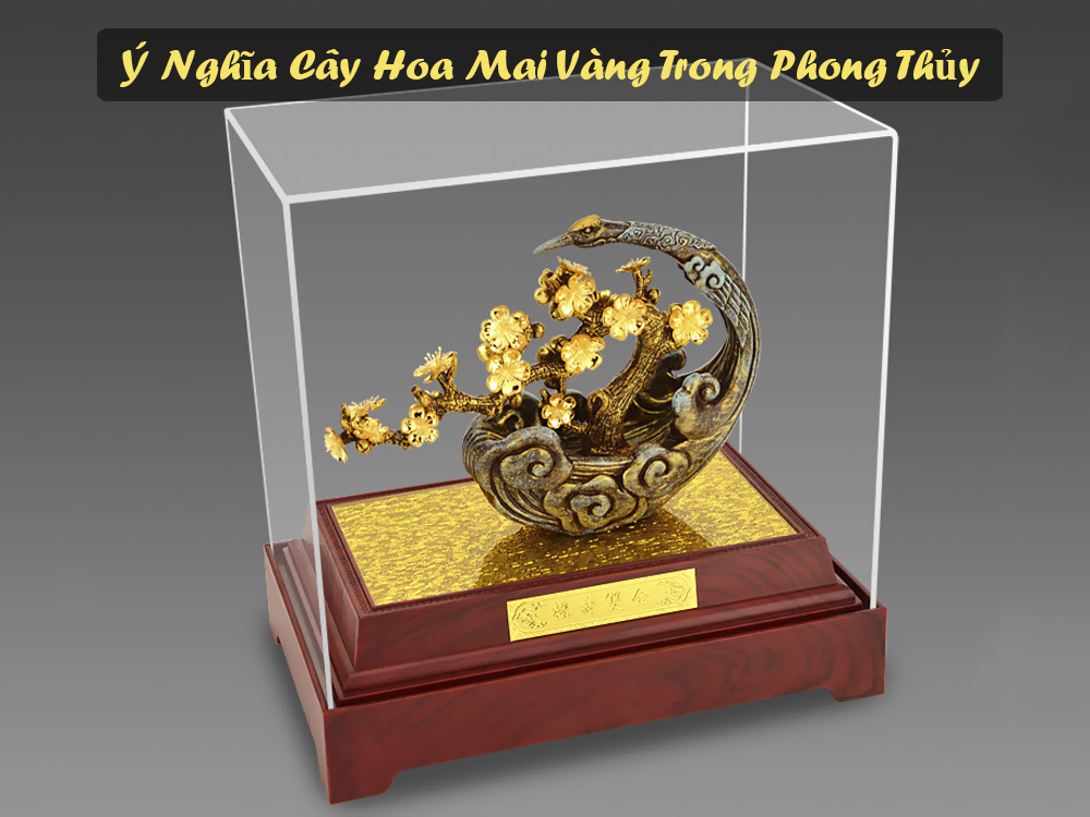 Y Nghia Cay Hoa Mai Vang Trong Phong Thuy