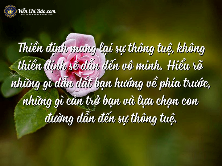 Thiền Định Và Những Tác Dụng Của Thiền Với Cuộc Sống An Tịnh 2 thien-dinh-la-con-duong-dan-den-thong-tue