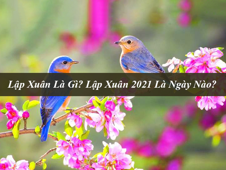 Lap Xuan La Gi Lap Xuan 2021 La Ngay Nao 2