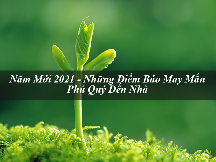 Nam Moi 2021 Nhung Diem Bao May Man Phu Quy Den Nha 5