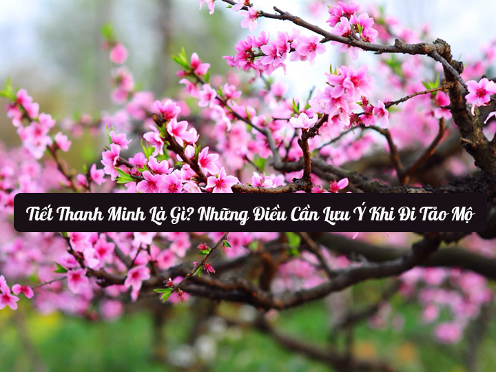 Tiet Thanh Minh La Gi Nhung Dieu Can Luu Y Khi Di Tao Mo 2