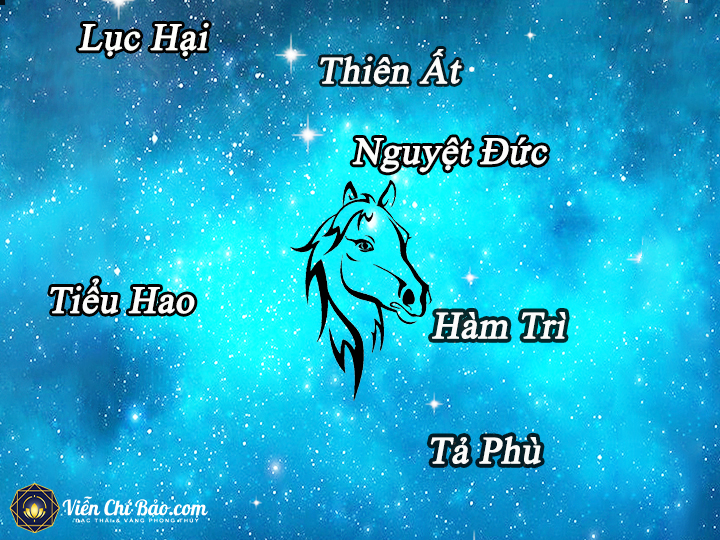 tu-vi-tuoi-ngo-nam-2021