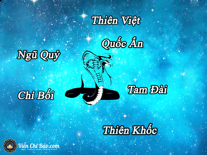 tu-vi-tuoi-ty-nam-2021