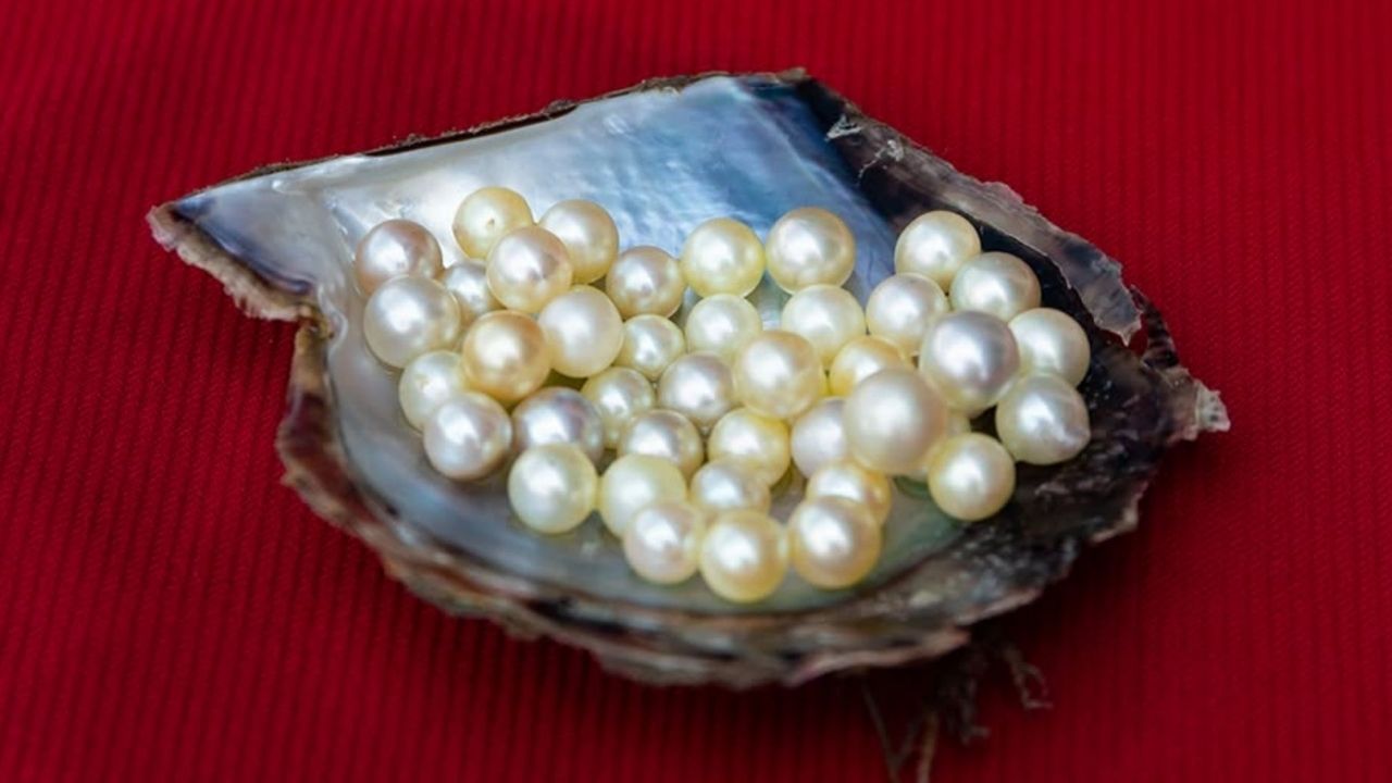 ky-thuat-che-tac-ngoc-trai-tu-vien-ngoc-tho-den-trang-suc-cao-cap